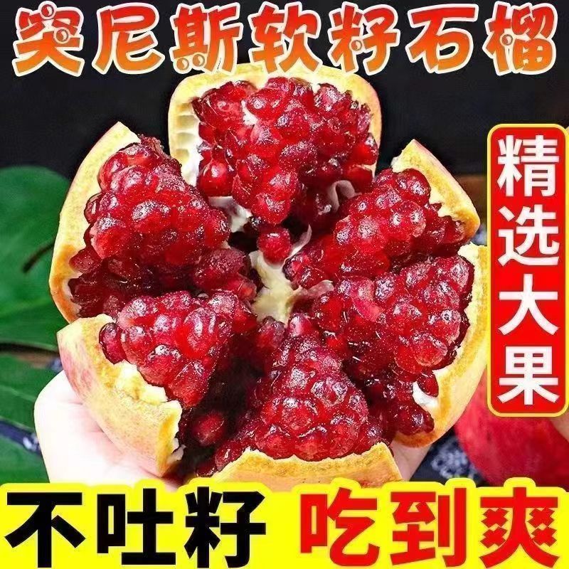 四川石榴/软籽石榴/突尼斯软籽石榴/基地供货一手货源