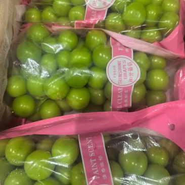 湖北精品甜蜜阳光玫瑰，颗粒大果肉饱满，产地直发