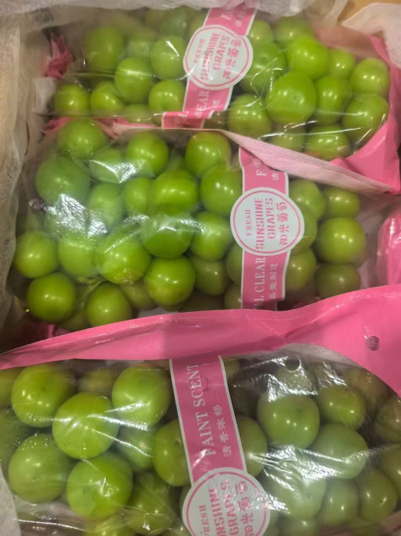湖北精品甜蜜阳光玫瑰，颗粒大果肉饱满，产地直发