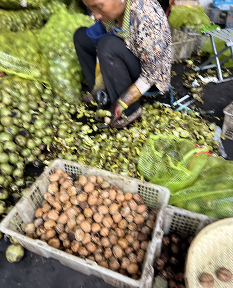 新鲜湿核桃