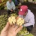 新鲜湿核桃