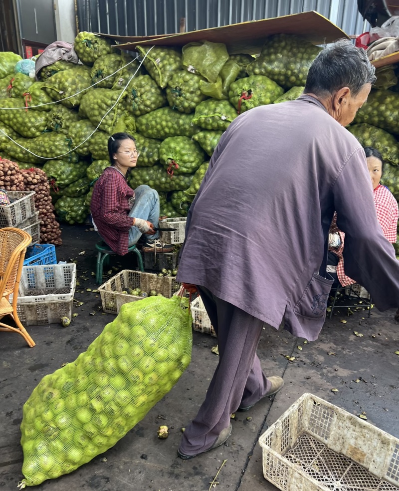 新鲜湿核桃