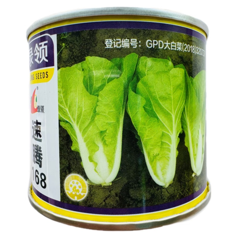 快菜种子绿领速腾168快菜种籽速生小白菜毛白菜种籽四季