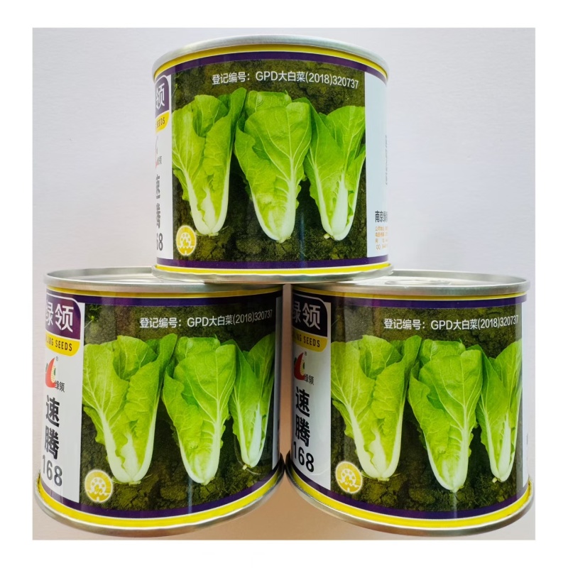 快菜种子绿领速腾168快菜种籽速生小白菜毛白菜种籽四季