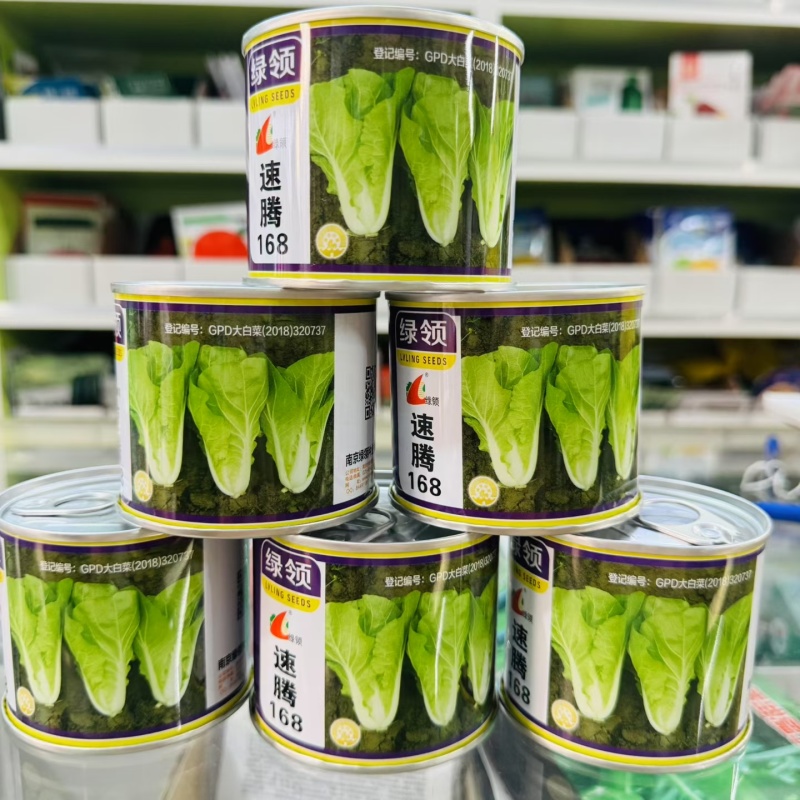 快菜种子绿领速腾168快菜种籽速生小白菜毛白菜种籽四季