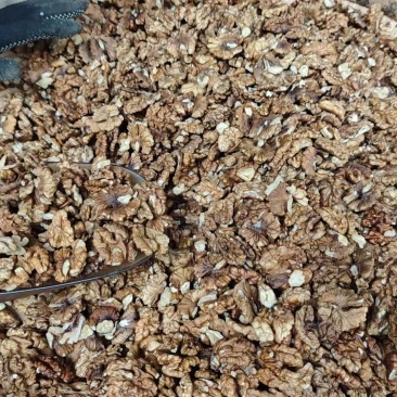 云南野生老树核桃仁手剥上浅核桃仁