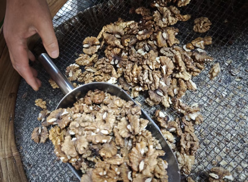 云南野生老树核桃仁手剥上浅核桃仁