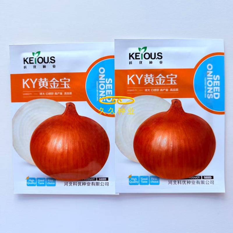 KY黄金宝洋葱种子早熟黄皮洋葱种子甘甜微辣品质好商品性佳