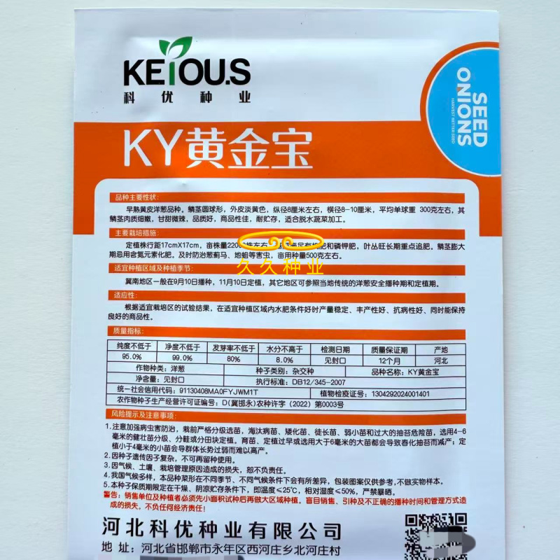 KY黄金宝洋葱种子早熟黄皮洋葱种子甘甜微辣品质好商品性佳