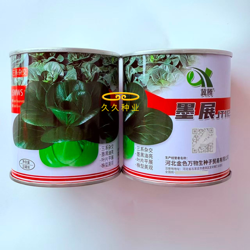 墨展青梗菜种子抗病耐热耐寒口感糯甜商品性佳春秋播
