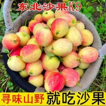 《一件代发》东北特产K9沙果海棠果鸡心果对接各大电商平台