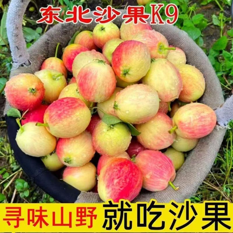 《一件代发》东北特产K9沙果海棠果鸡心果对接各大电商平台