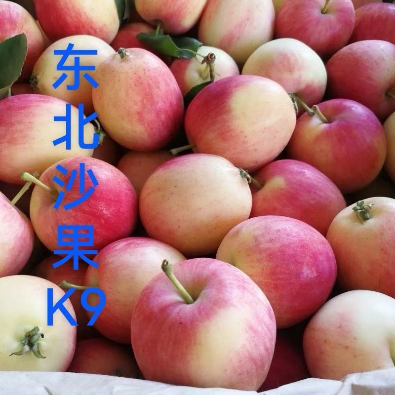 东北特产海棠果～K9沙果～鸡心果～一件代发日发万单抖音等