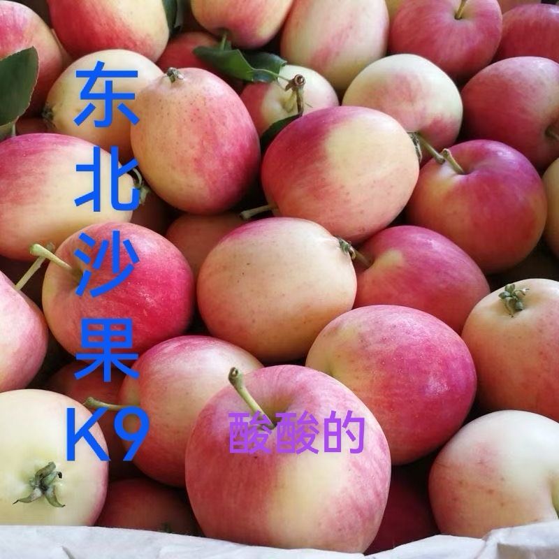 东北特产海棠果～K9沙果～鸡心果～一件代发日发万单抖音等