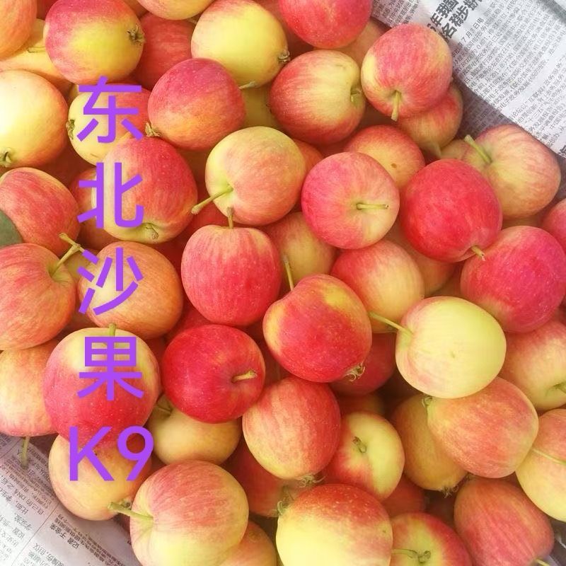 东北特产海棠果～K9沙果～鸡心果～一件代发日发万单抖音等