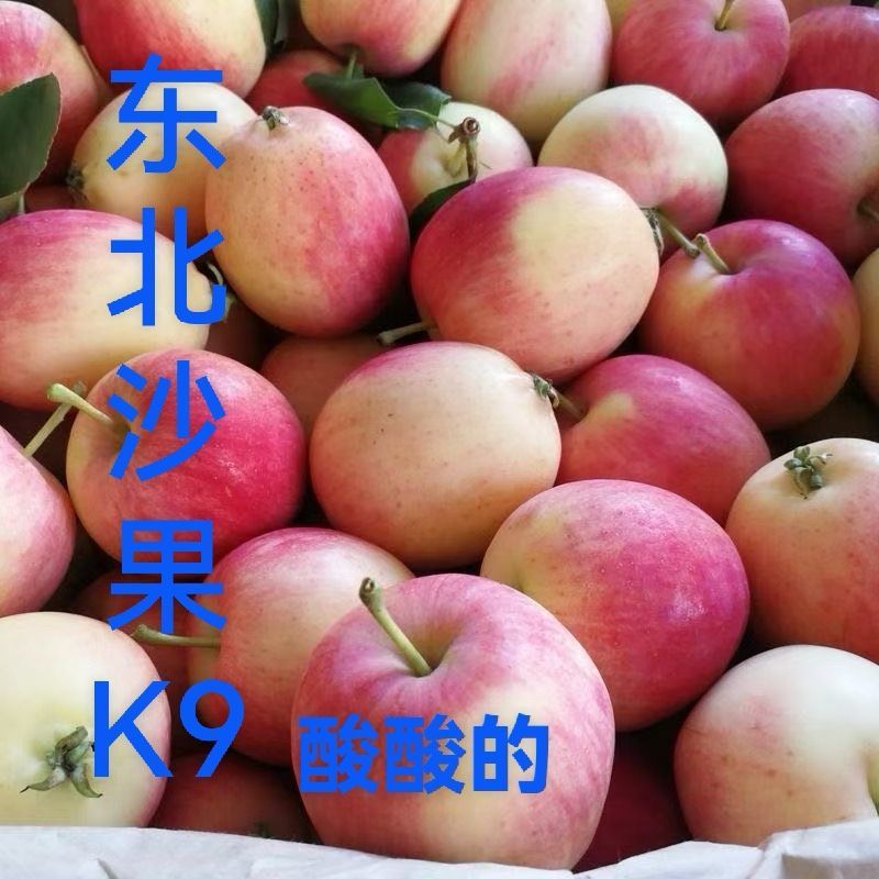 东北特产海棠果～K9沙果～鸡心果～一件代发日发万单抖音等