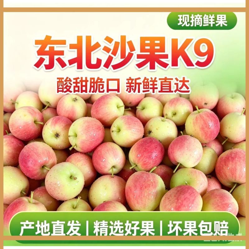 东北特产海棠果～K9沙果～鸡心果～一件代发日发万单抖音等