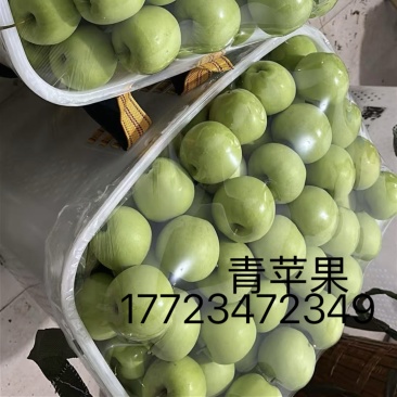 青苹果
