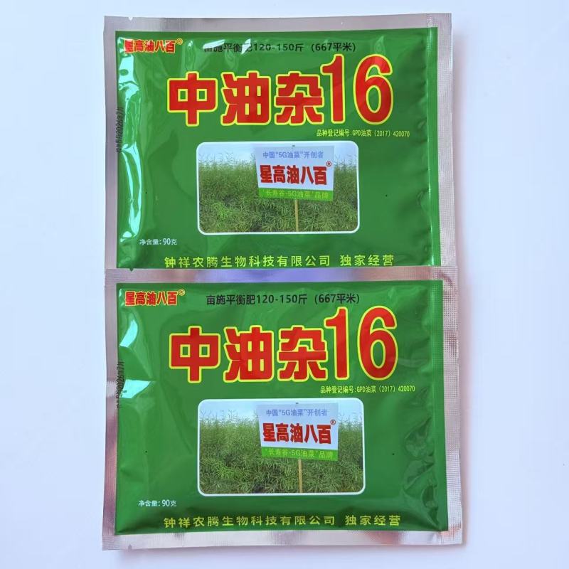 中油杂16甘蓝型半冬性早熟油菜种子含油率46.69%抗病