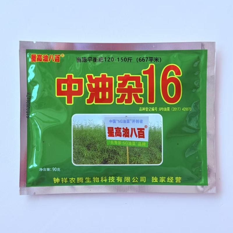 中油杂16甘蓝型半冬性早熟油菜种子含油率46.69%抗病