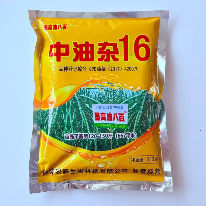 中油杂16油菜种子早熟抗病抗倒高产甘蓝型星高油800