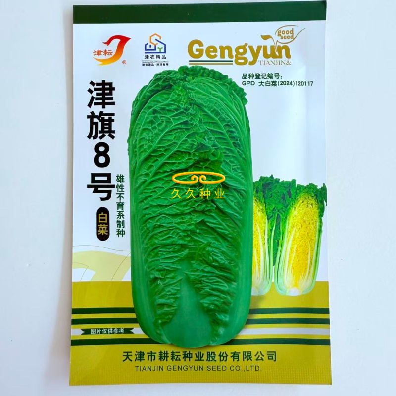 津旗8号白菜种子直筒叠包青麻叶大白菜种子黄高桩大白菜