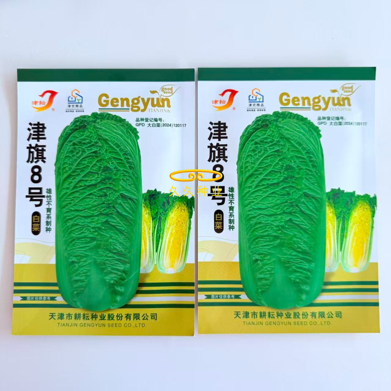 津旗8号白菜种子直筒叠包青麻叶大白菜种子黄高桩大白菜
