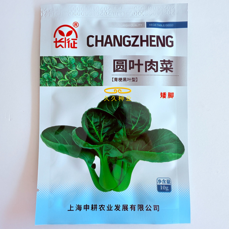 圆叶肉菜青菜种子深绿矮脚厚肉高产耐寒商品性佳
