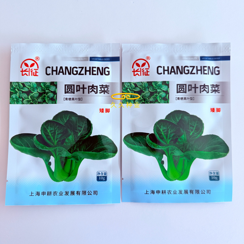 圆叶肉菜青菜种子深绿矮脚厚肉高产耐寒商品性佳
