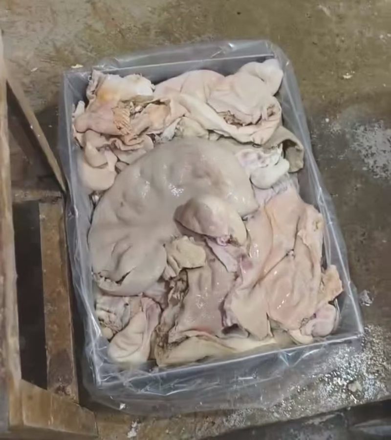 5分熟牛胎盘
