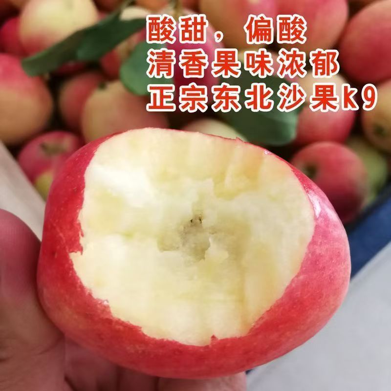 K9沙果小苹果～鸡心果～海棠果～一件代发对接各大电商平台