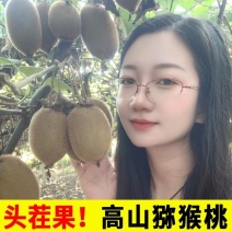 湖南湘西绿心猕猴桃非陕西周至猕猴桃电商一件代发整车批发