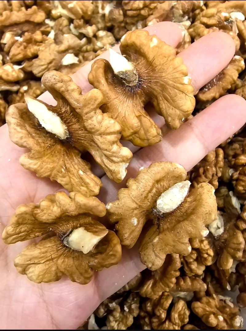 大凉山纸皮核桃饱满品质保障大量有货价格实惠