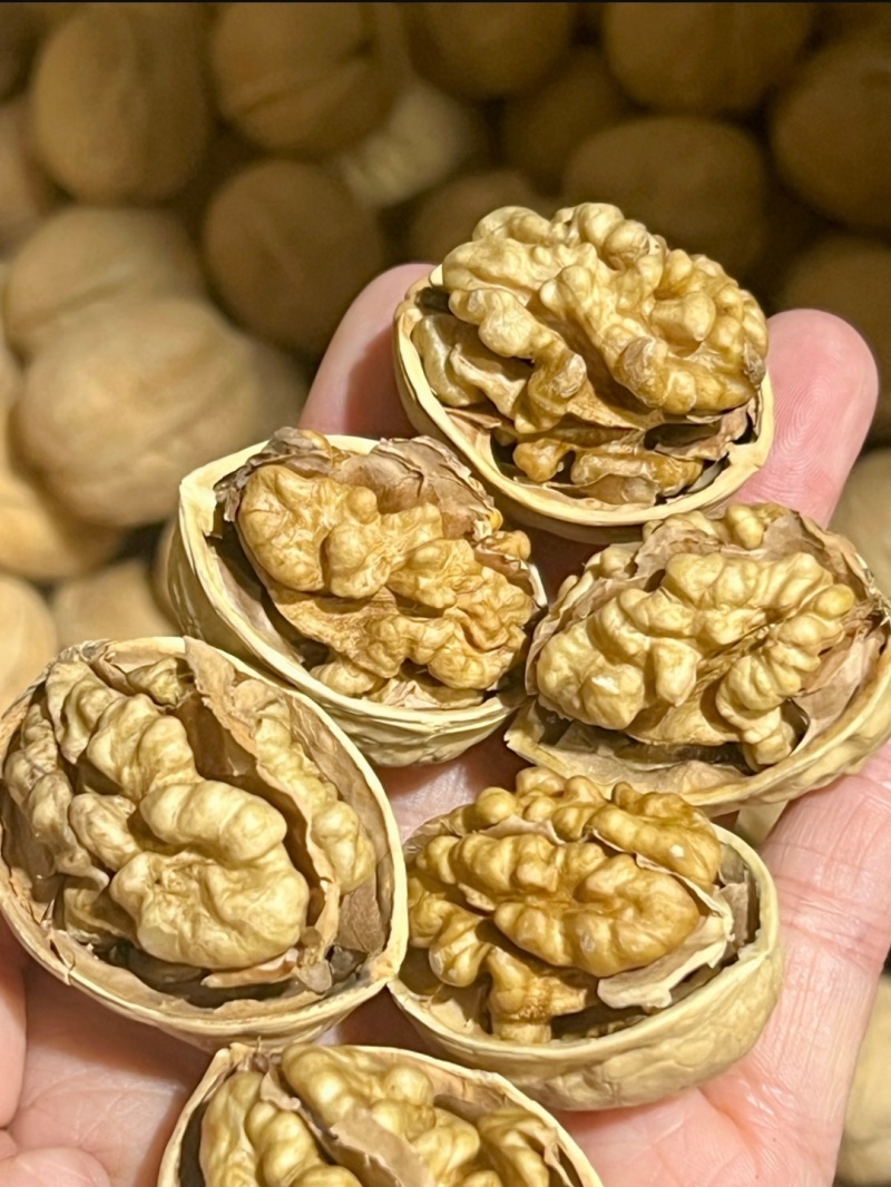 大凉山纸皮核桃饱满品质保障大量有货价格实惠