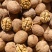 大凉山纸皮核桃饱满品质保障大量有货价格实惠