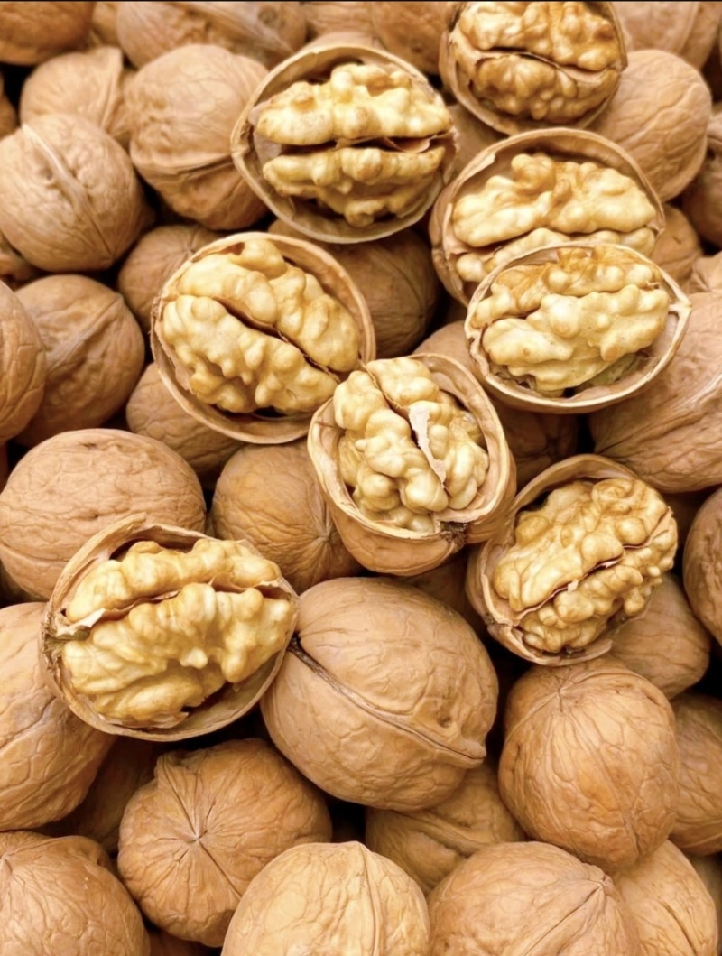 大凉山纸皮核桃饱满品质保障大量有货价格实惠