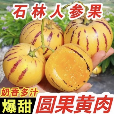 石林人参果
