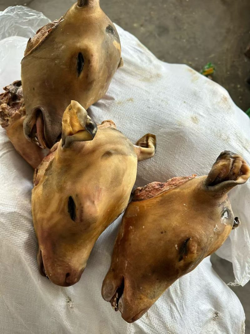 火烧小牛头