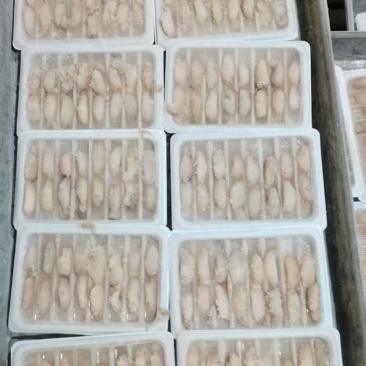 【精品】蟹肉厂家直销可少量大量批发供应全国欢迎洽谈
