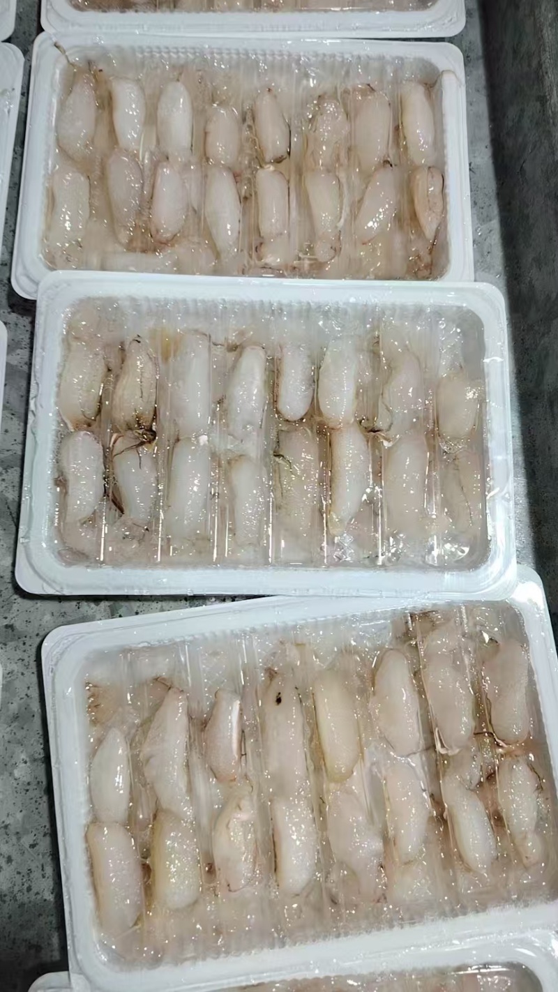 【精品】蟹肉厂家直销可少量大量批发供应全国欢迎洽谈