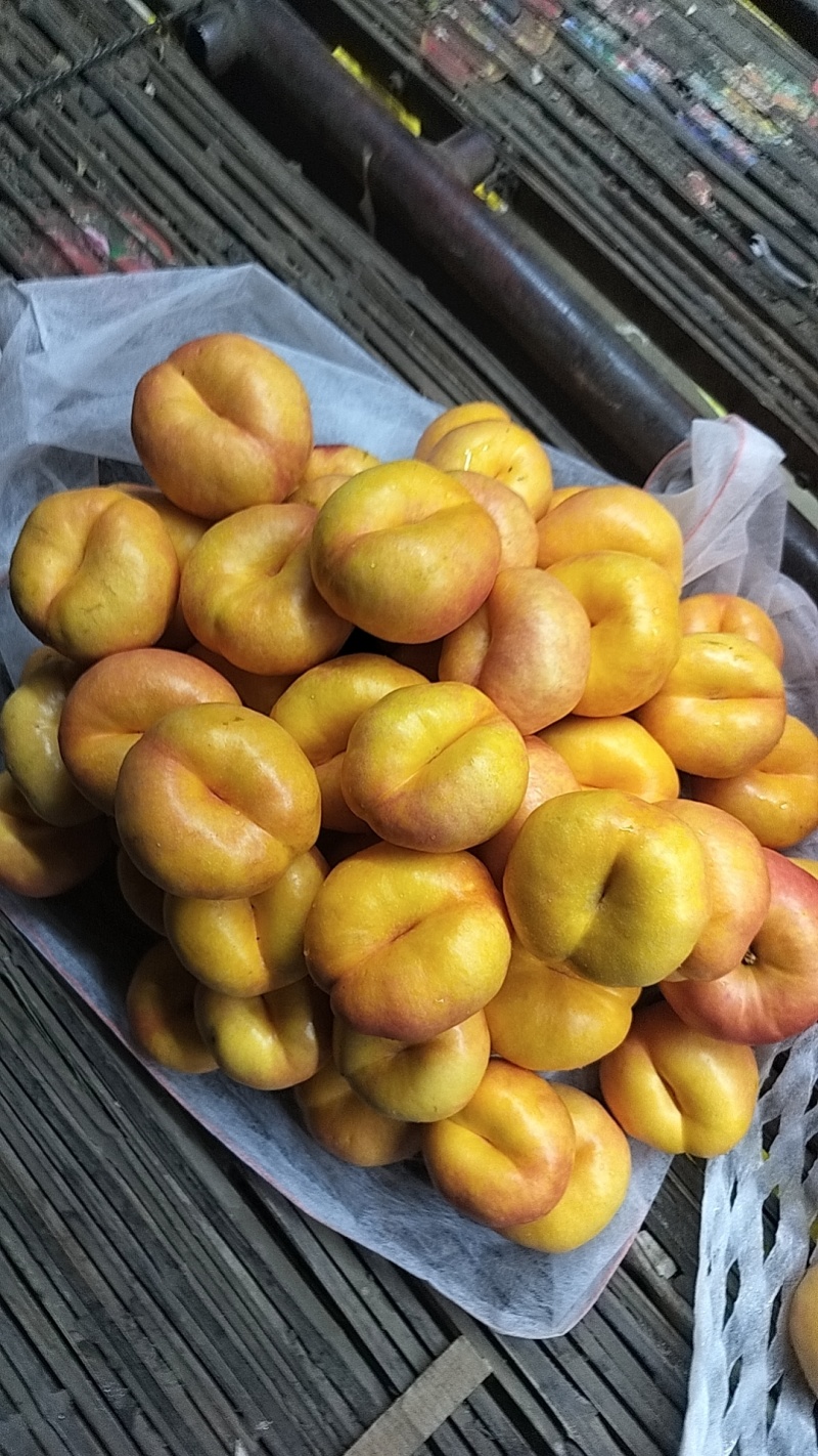 油盘7大量上市