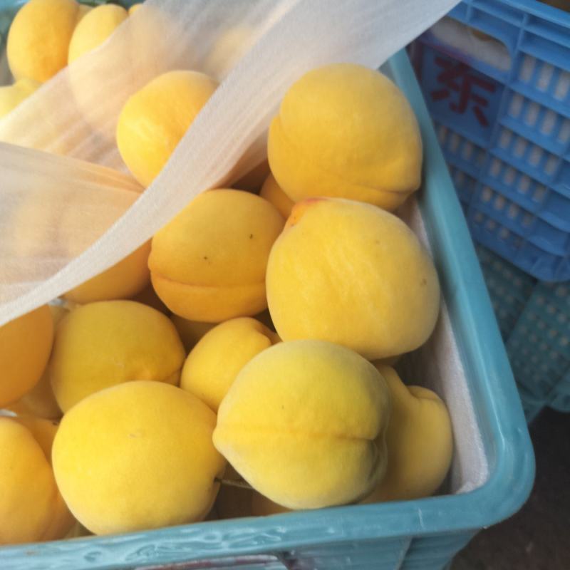 黄金桃