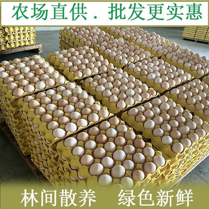 粉壳土鸡蛋电商一件代发40-45g散养土鸡蛋