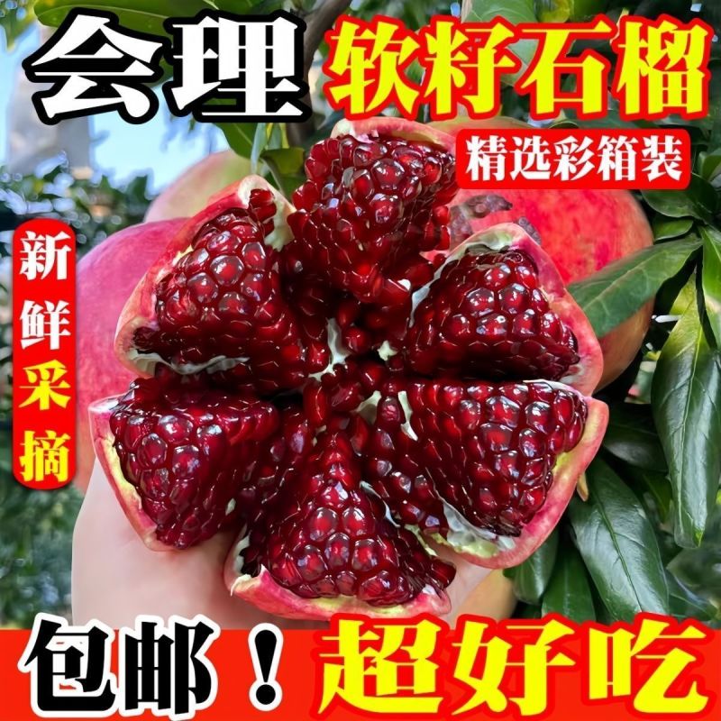 攀枝花石榴大量上市中支持全网一件代发品质保证价格到位