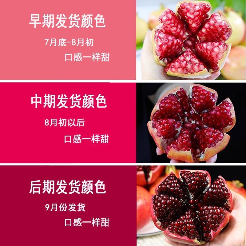 攀枝花石榴大量上市中支持全网一件代发品质保证价格到位