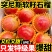 攀枝花石榴大量上市中支持全网一件代发品质保证价格到位