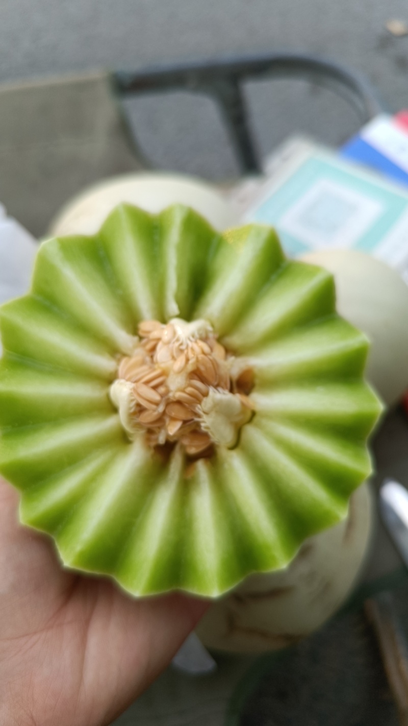 精品玉菇甜瓜