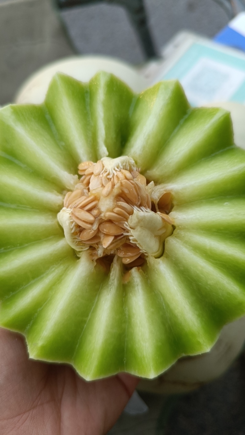 精品玉菇甜瓜