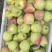 鲁丽苹果🍎🍎🍎，大量鲜果上市，口感脆甜