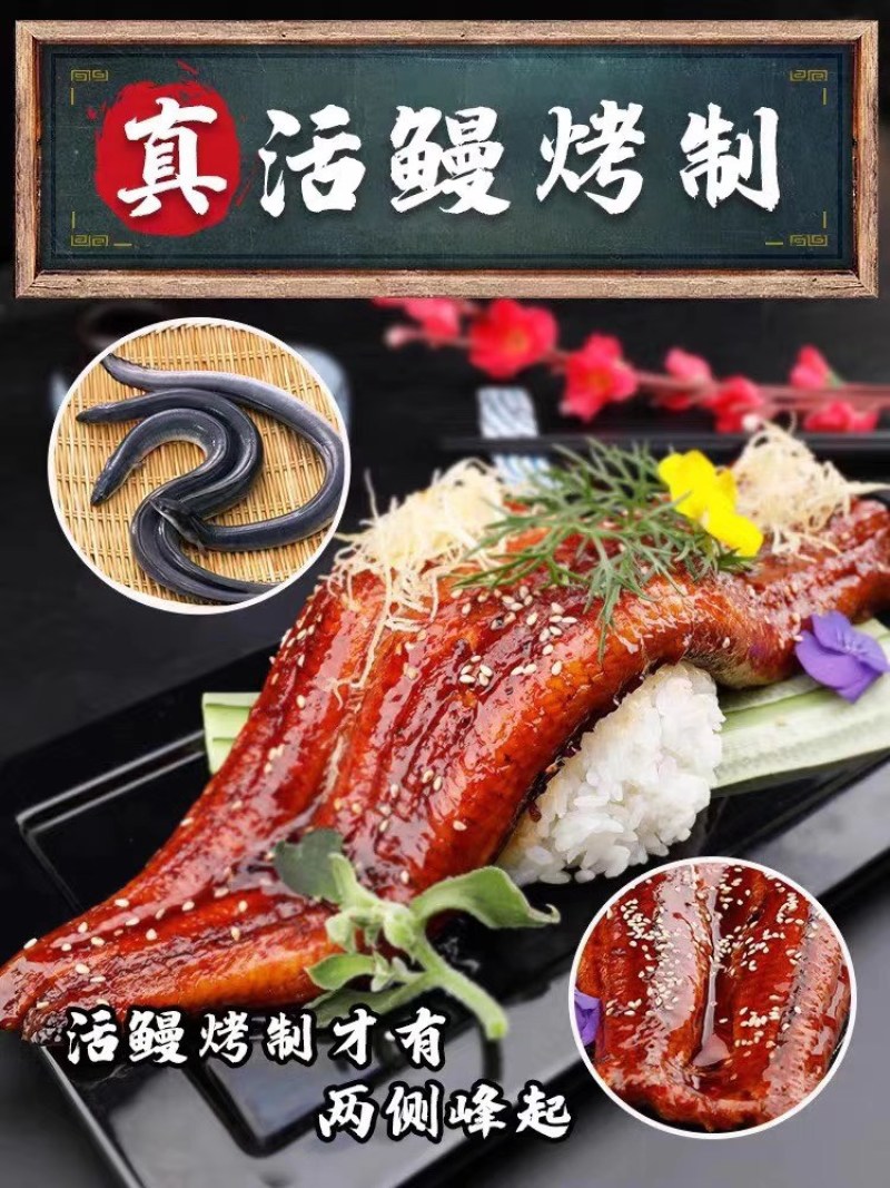 蒲烧鳗鱼